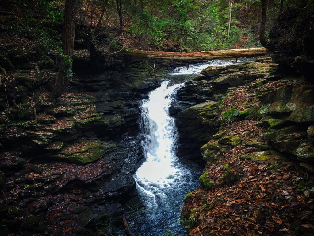 Black Canyon Falls