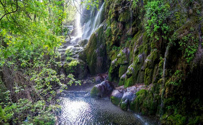 Gorman Falls