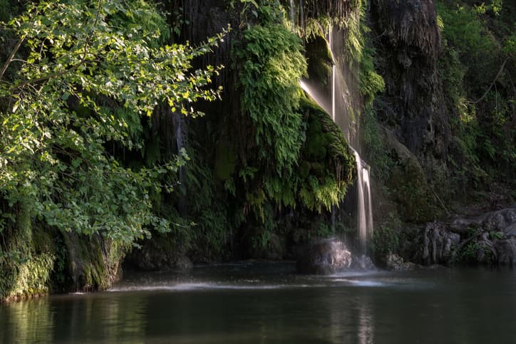 Krause Springs, Spicewood