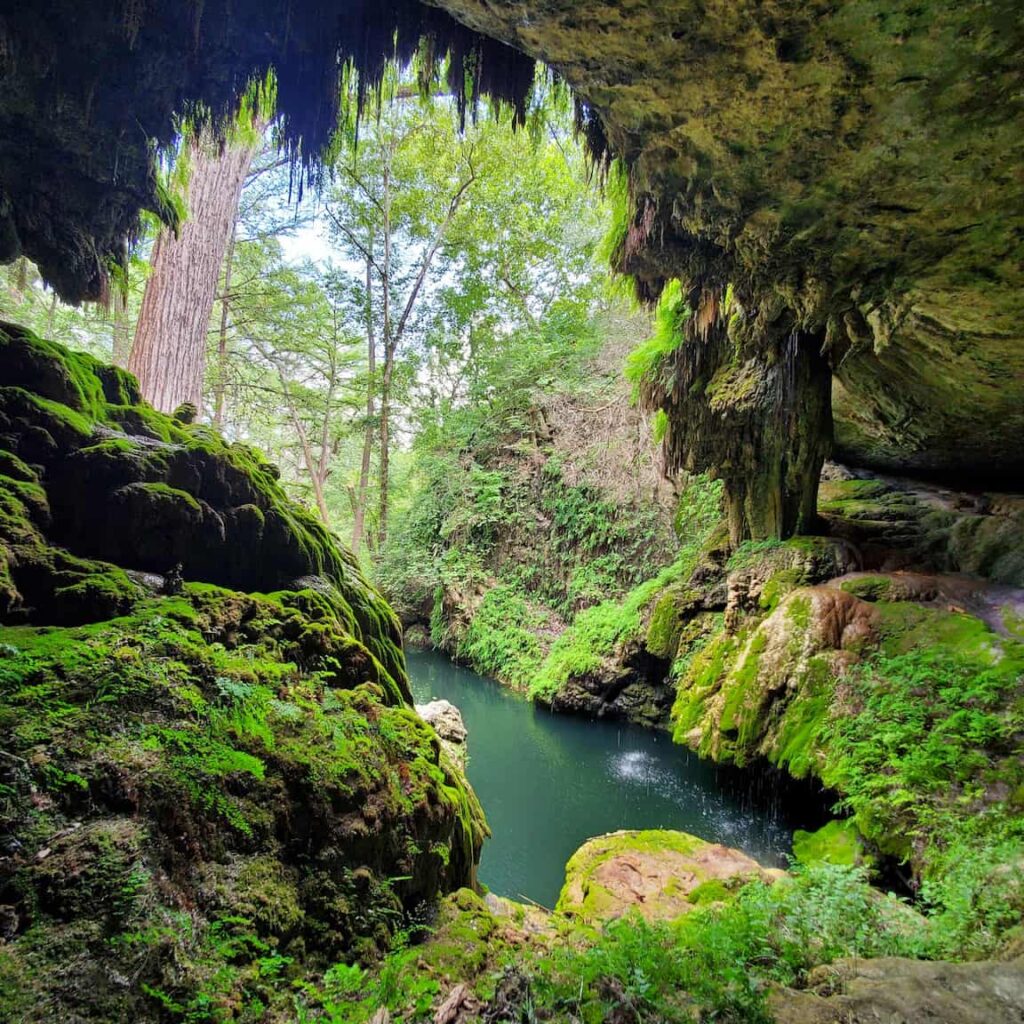 Westcave Preserve, Hamilton, TX